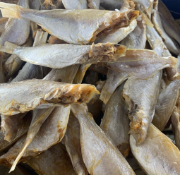 Khô cá Đù loại nhiều nắng