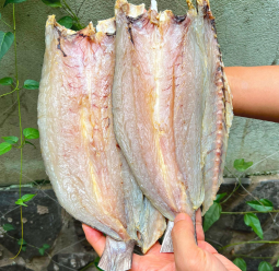 Khô cá Nhồng biển 1 Nắng Phú Quốc