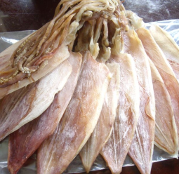 Khô Mực câu loại 7-10/kg