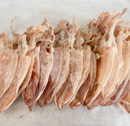 Khô Mực loại 26 con/kg 
