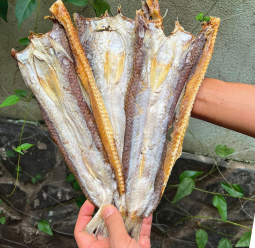 Khô cá Mối nhiều nắng