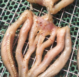 Khô Cá Lóc Không Mặn Bao Ngon 